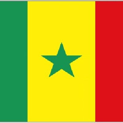Senegal 3' x 2'
