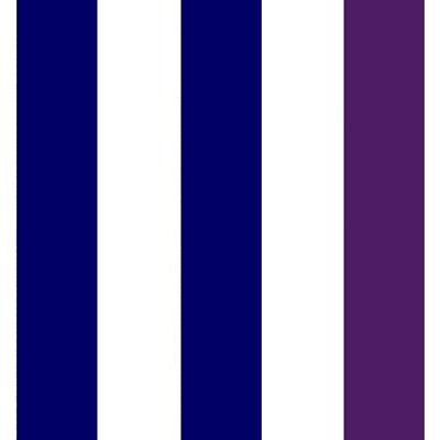 Striped Navy/White