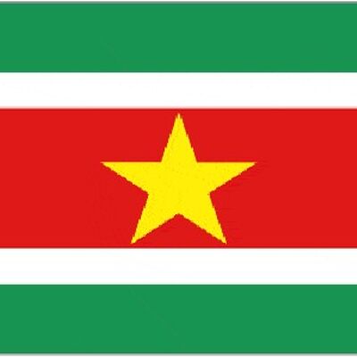 Suriname 3' x 2'