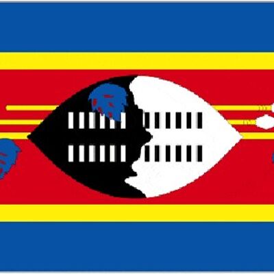 Swaziland 3' x 2'