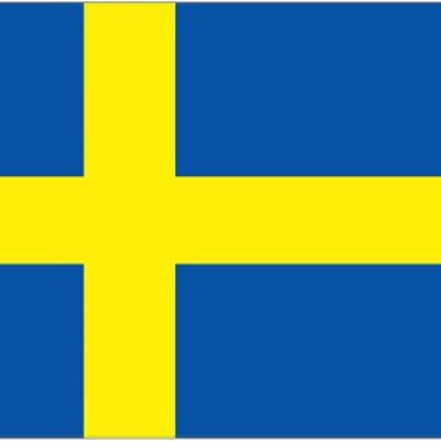 Sweden 3' x 2'