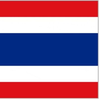 Thailand 3' x 2'