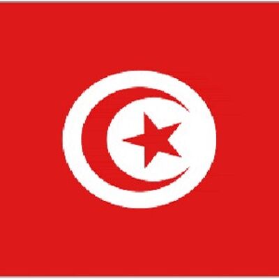 Tunisia 3' x 2'