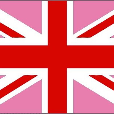 Union Jack (Gay Pride) Pink/Red 3' x 2'