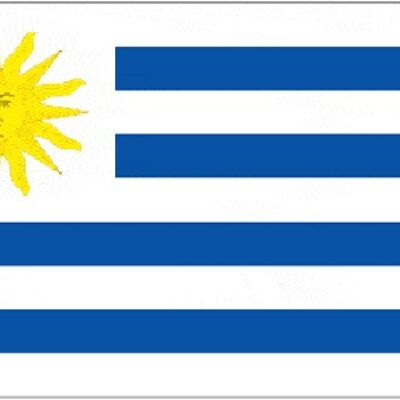 Uruguay 3' x 2'
