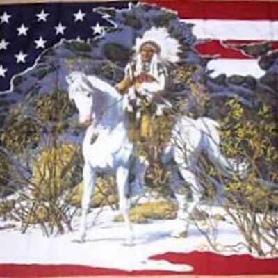 USA Indian Chief with Horse/Mountain