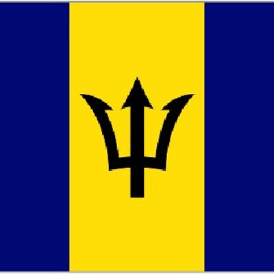 Barbados 5' x 3'