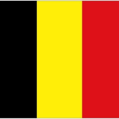 Belgium 5' x 3'