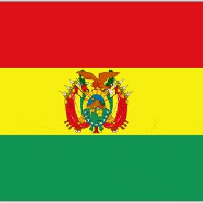 Bolivia State 5' x 3'