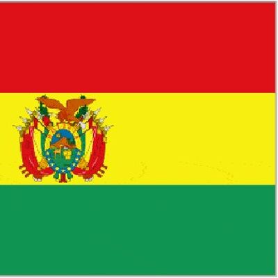 Bolivia State 5' x 3'
