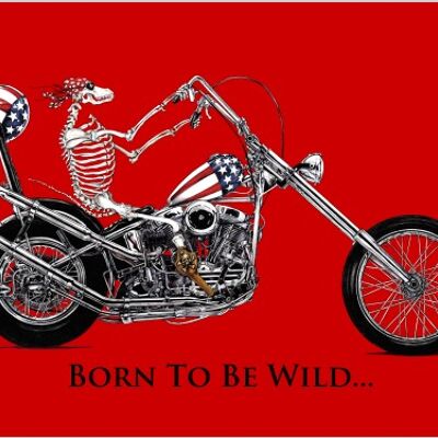 Born To Be Wild (motorcycle) 5'x3'
