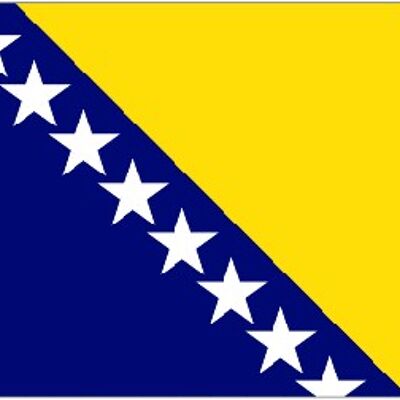 Bosnia & Herzegovina (1998- ) 5' x 3'