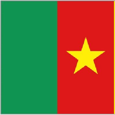 Cameroon 5' x 3'