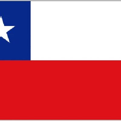 Chile 5' x 3'