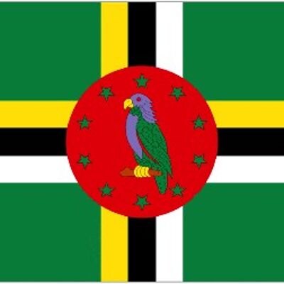 Dominica 5' x 3'