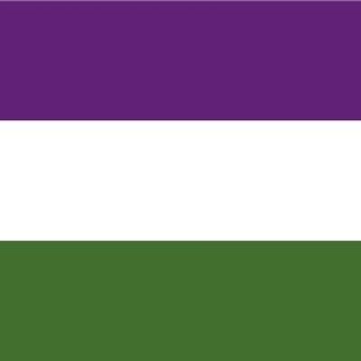 Genderqueer Flag (Gay Pride)