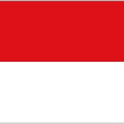 Indonesia 5' x 3'