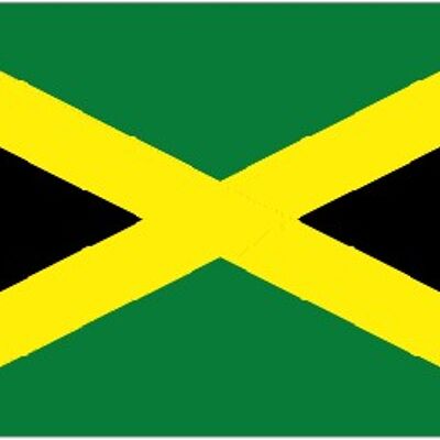 Jamaica 5' x 3'