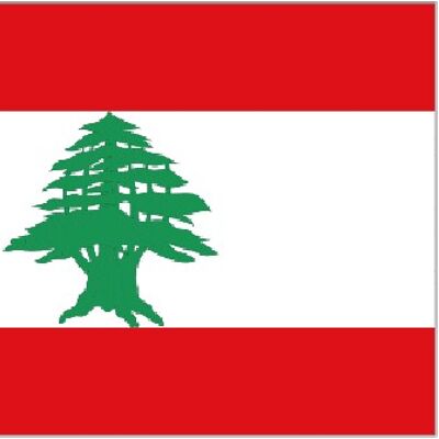 Lebanon 5' x 3'