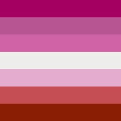 Lesbian 5'x3' (Gay Pride)