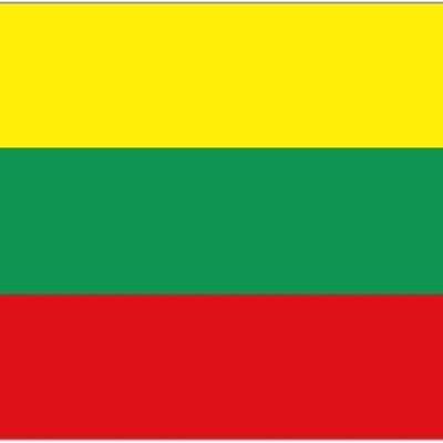 Lithuania 5' x 3'