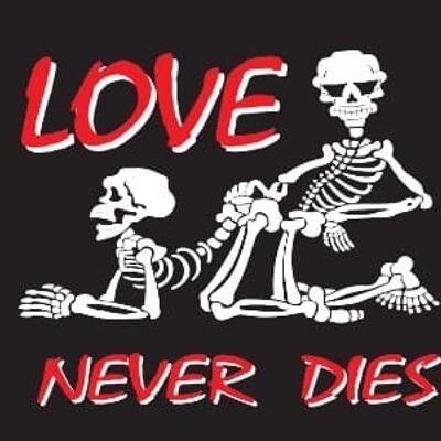Love Never Dies 5'x3'