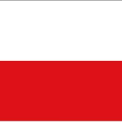 Poland 5' x 3'