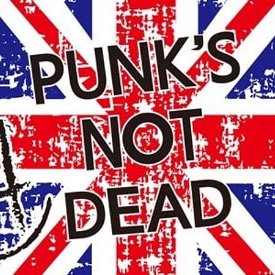 Punks Not Dead (new) 5'x3'