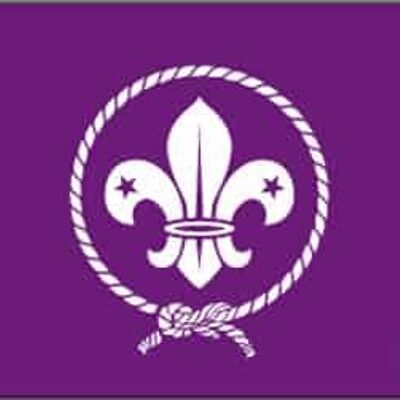 Scout - purple