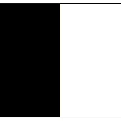Sligo - Black/White Vertical Stripe