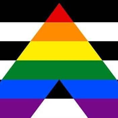 Straight Ally 5'x3' (Gay Pride)