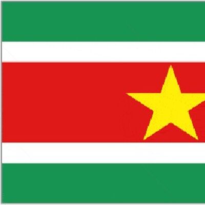 Suriname 5' x 3'