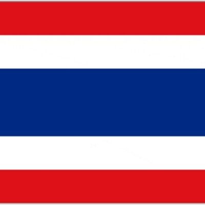 Thailand 5' x 3'