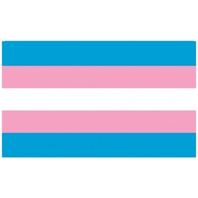 Transgender (gay pride - rainbow)