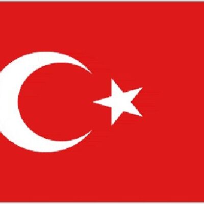 Turkey 5' x 3'