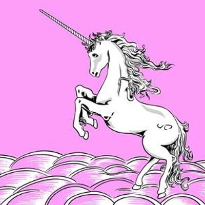 Unicorn Pink 5'x3'