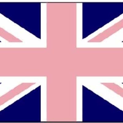 Union Jack (gay pride) with Pink/Blue 5' x 3'