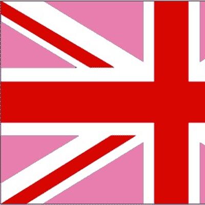 Union Jack (Gay Pride) with Pink/Red 5' x 3'
