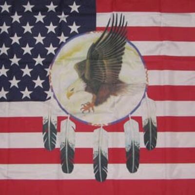 USA Eagle Dreamcatcher