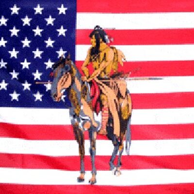 USA Indian Horse