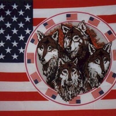 USA with 4 Wolves