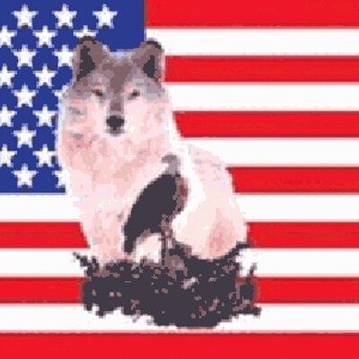 USA with Wolf and Eagle