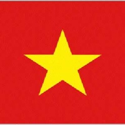 Vietnam 5' x 3'
