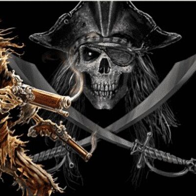 Pirate with Guns 5'x3' (digital print)