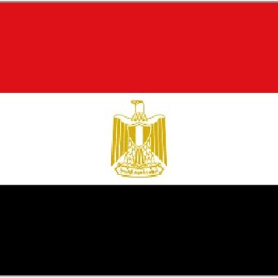 Egyptian Flag (Giant Egypt 8'x5')