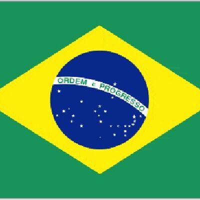 Giant Brazil 8'x5'