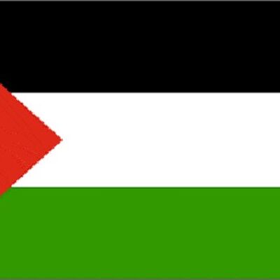 Giant Palestine 8'x5'