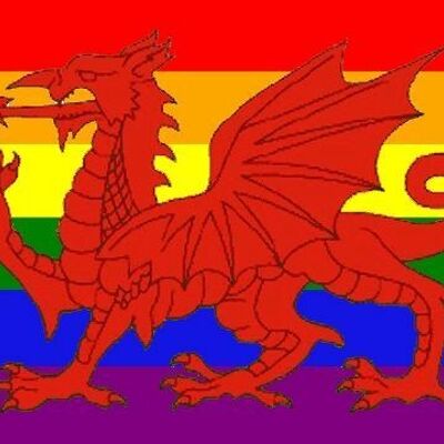 Giant Rainbow Wales (Gay Pride) 8'x5'