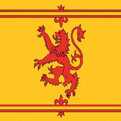Giant Scotland Lion Rampant Flag (8'x5')