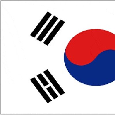 Giant South Korea 8'x5'